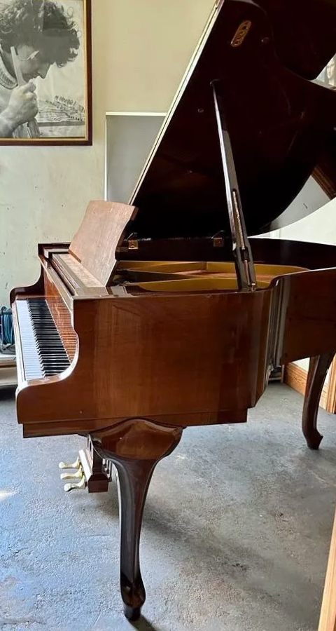 schimmel baby grand piano for sale side view of keyboard, pedals and cabriole legs